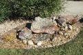 Pondless water feature from moss boulder