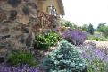 natural gravel path winds around house and yard