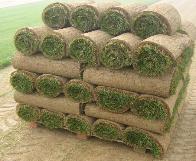 Sod for Installation